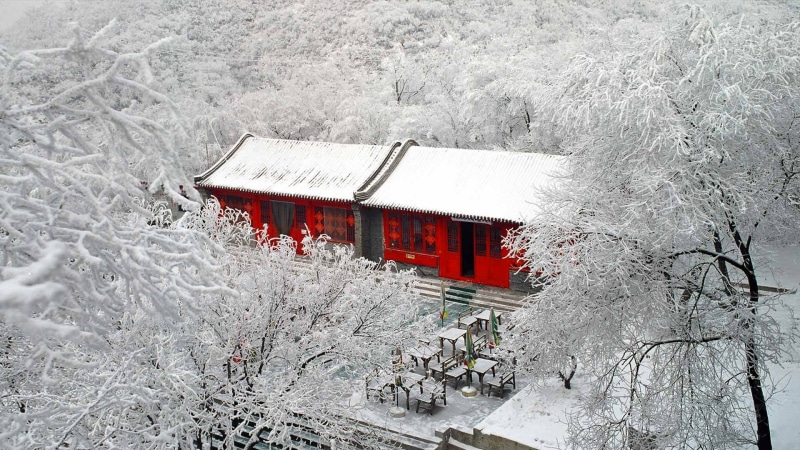frost, Badaling, Beijing, winter, 1080P, China, trees, snow