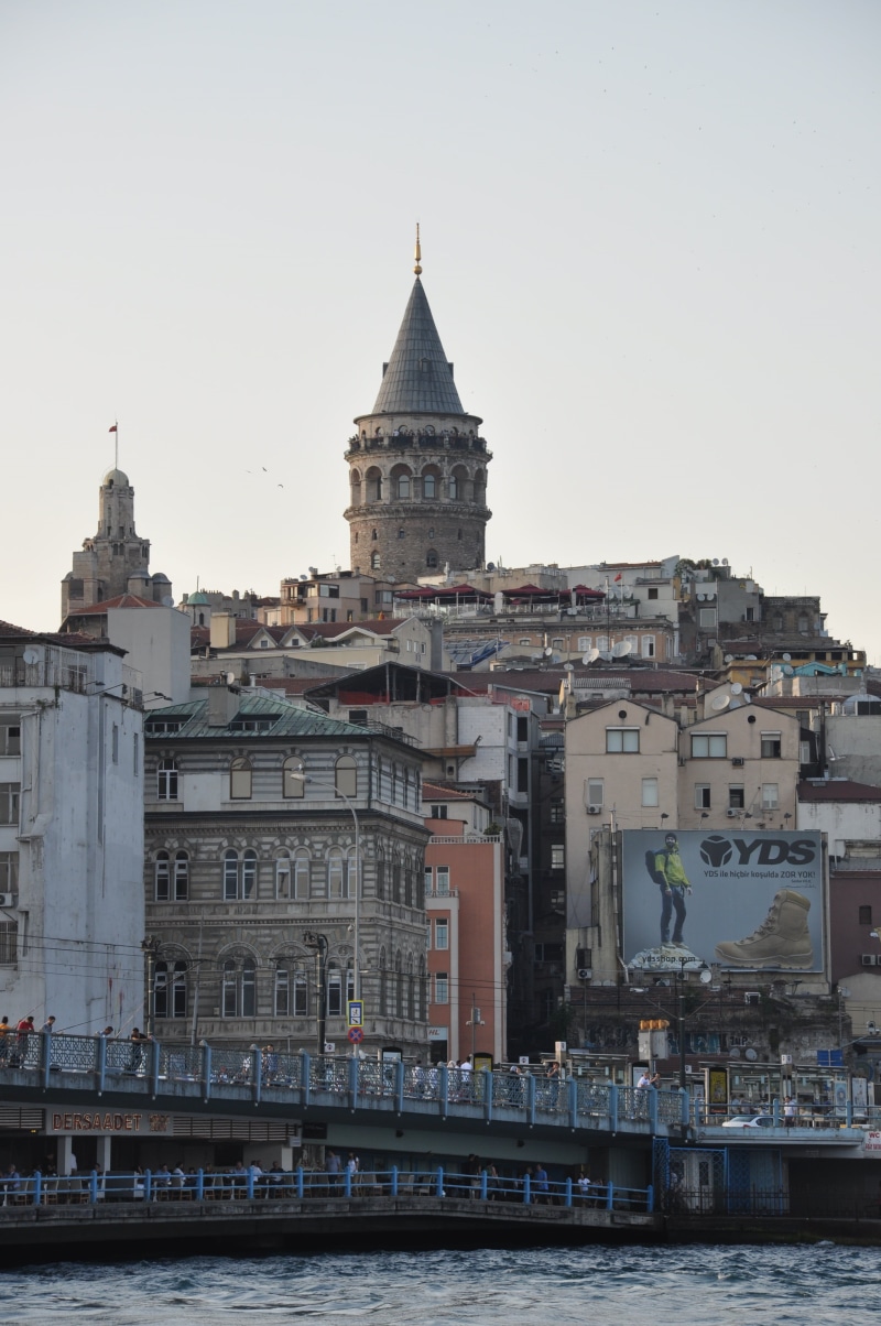 nature, belief, peace, travel destinations, daisy, seagull, building exterior, blue, schema, spire, tourism, üsküdar, passenger craft, fish, architecture
