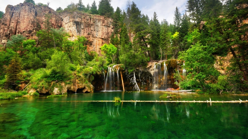 water resources, ecosystem, trees, state park, 4K, green, watercourse, tropical and subtropical coniferous forests, waterfall, stones, nature, lake, national park