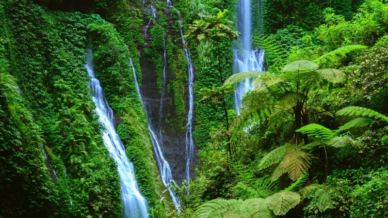 vegetation, water, growth, lush foliage, national park, environment, java, green color, long exposure, beauty in nature, water resources, nature, probolinggo