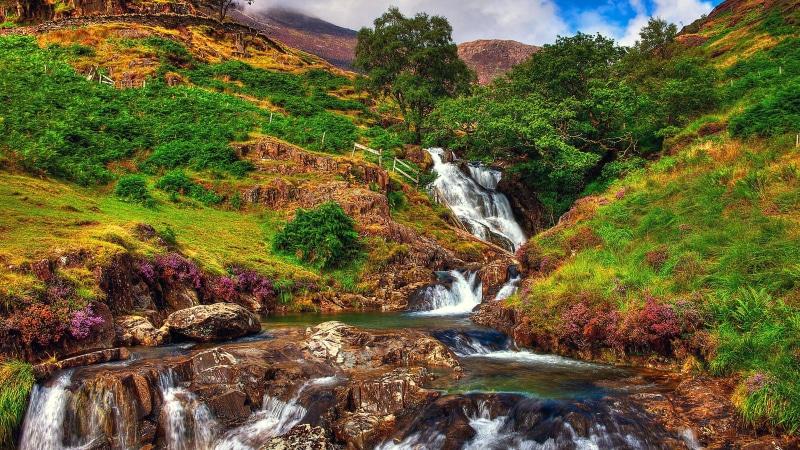 tree, europe, waterfall, wales, national park, snowdonia national park, north wales, landscape, snowdon, 4K, mountain, swallow falls, water, stream, nature reserve