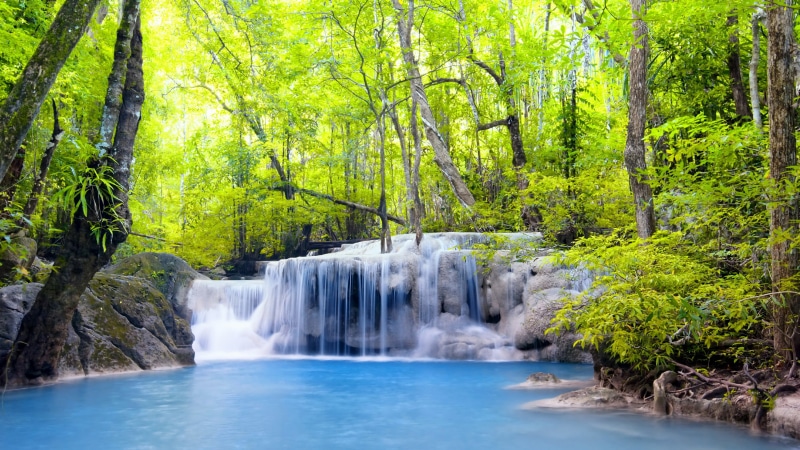 flowing water, waterfall, woodland, green color, tree, erawan falls, non-urban scene, flowing, erawan national park, forest, limestone, rainforest, wilderness