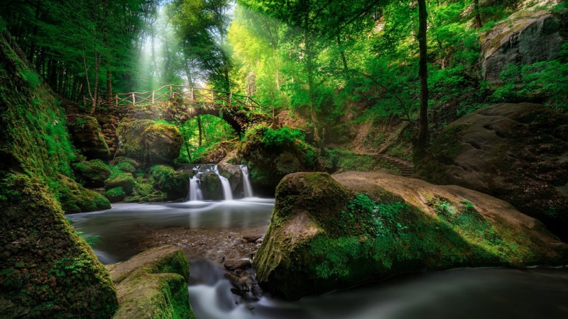 nature reserve, waterfall, black ernz river, vegetation, green, 1080P, cascade, luxemburg, europe, schiessentümpel, creek, stream, forest, body of water