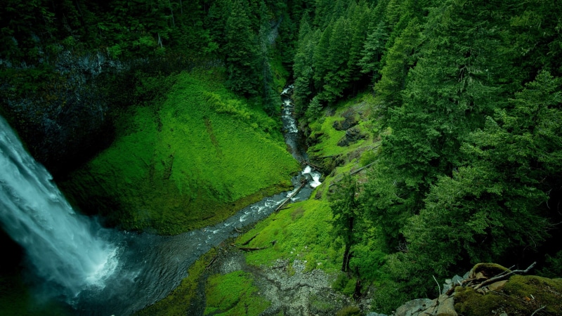 rock, 4K, landscape, land, beauty in nature, woods, flowing water, green color, tranquil scene, tranquility, no people, water, flowing, tree, plant, waterfall