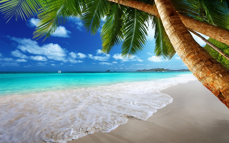 2K, summer, Ocean, paradise, sand, tropical, emerald, blue, palm, beach, Sea, coast, vacation