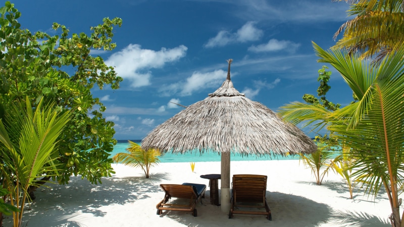 Vacation, 4K, Palm, Trees, Sea, Sand, Summer, Beach, Tropical
