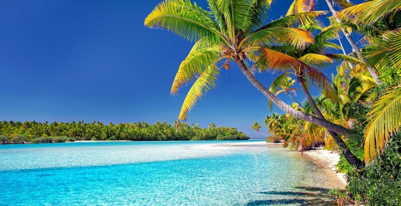 aitutaki, travel, 2K, lagoon, paradise, trip, coconut palm tree, turquoise colored, cook islands, vacations, no people, tropical tree, beach, tropical climate