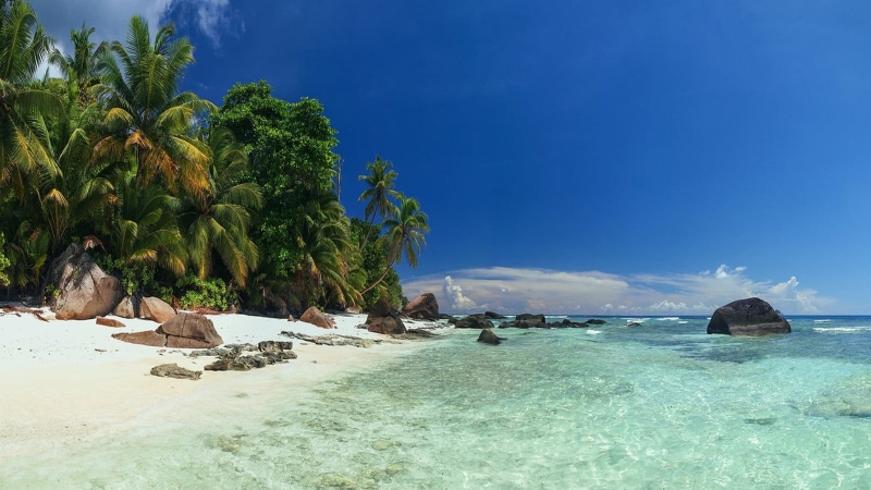 tranquil scene, outdoors, 720P, beauty in nature, no people, land, blue, sand, Seychelles, beach, palm tree, tropical climate, vacation, coconut palm tree