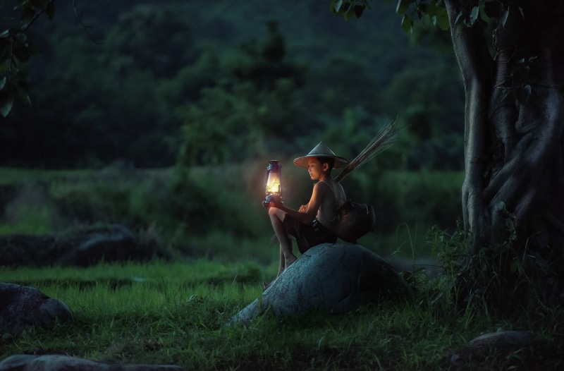 Asia, land, real people, lifestyles, adult, Rock, Tree, plant, Swamp, Vacation, lamp, Tropical, Lantern, outdoors, Dark, growth, Grass, forest, leisure activity