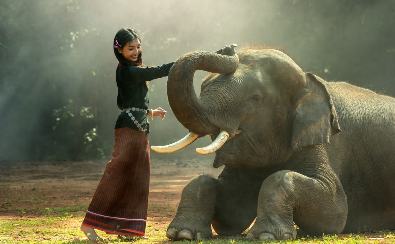 Thailand, nature, Photography, captivity, tourism, vertebrate, real people, animal wildlife, Tropical, one person, Cute, visit, Large, animal body part