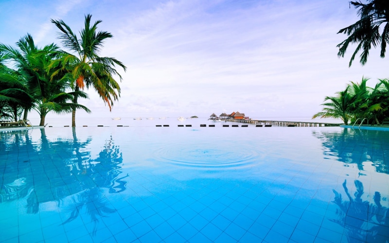 plant, tourist resort, palm tree, blue, luxury, tree, pool, sky, vacations, swimming pool, nature, tropical climate, boat, travel destinations, outdoors