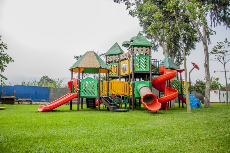 tree, playset, slide, summer, slide - Play Equipment, grass, day, childhood, green Color, Kids, plant, architecture, front or Back Yard, yellow, toy, Playground