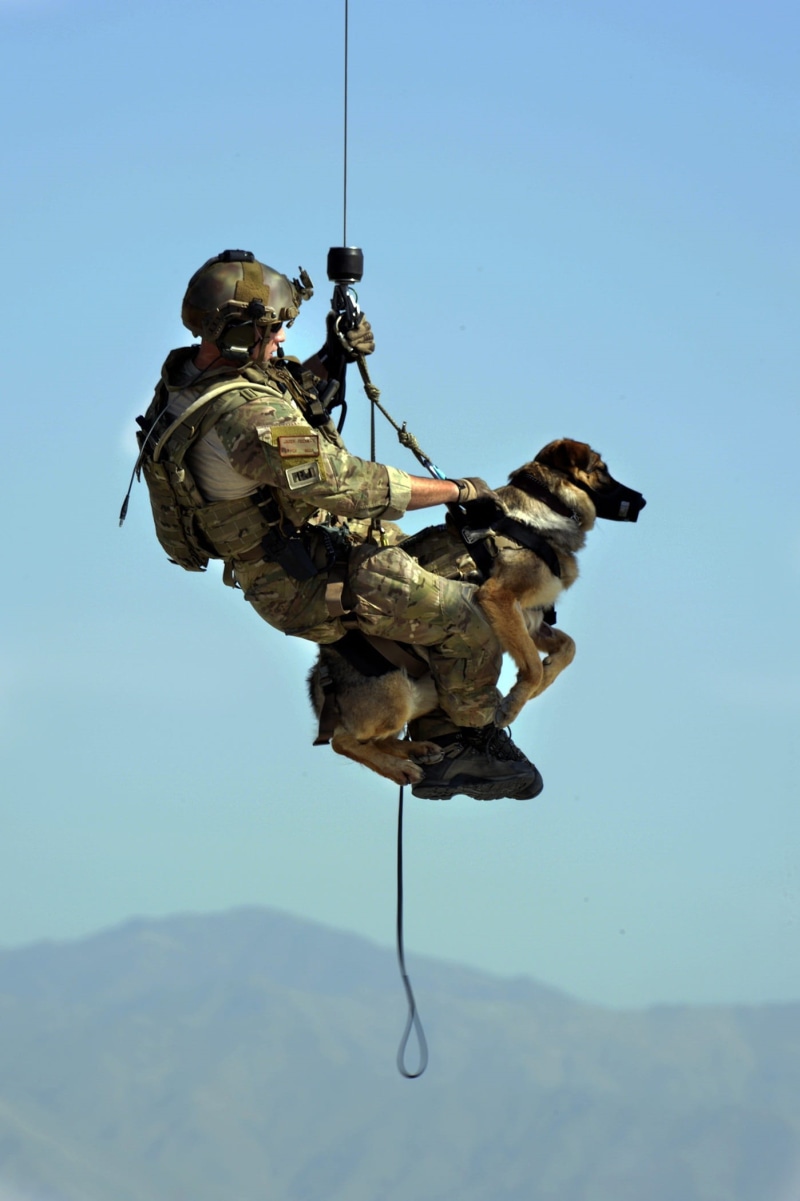 military uniform, soldier, sport, line, dog, helicopter, rope, Rescue, armed forces, army, government, people, military training, full length, Canine, day