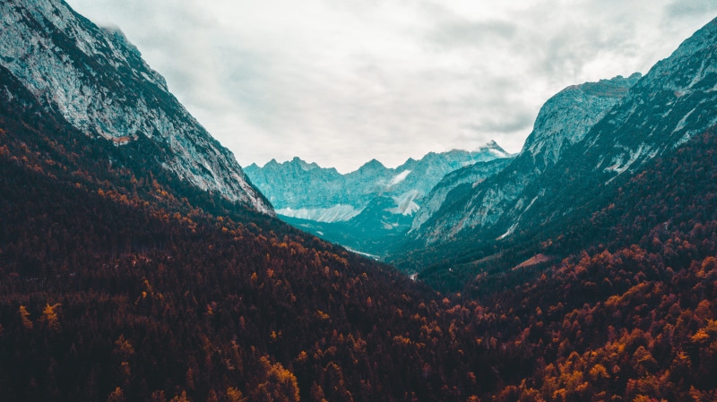 tree, 4K, tranquil scene, mountain peak, season, outdoors, coniferous tree, clouds, cloud - sky, woods, scenics - nature, view, no people, non-urban scene