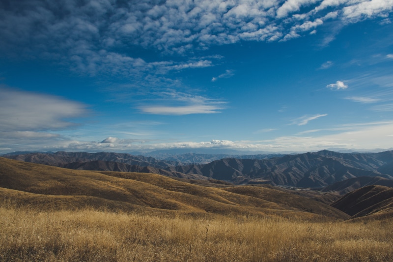 landscape, environment, idyllic, nature, plant, ridge, sky, tranquil scene, nature photography, scenery, scenic, remote, scenics - nature