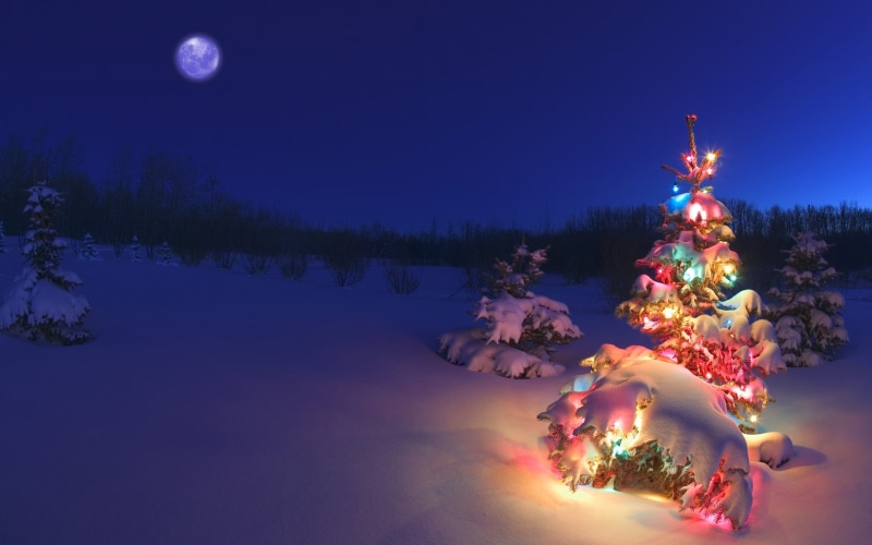 light - Natural Phenomenon, season, decoration, december, tranquil Scene, snow, year, plant, nature, christmas Decoration, full moon, holiday, mountain