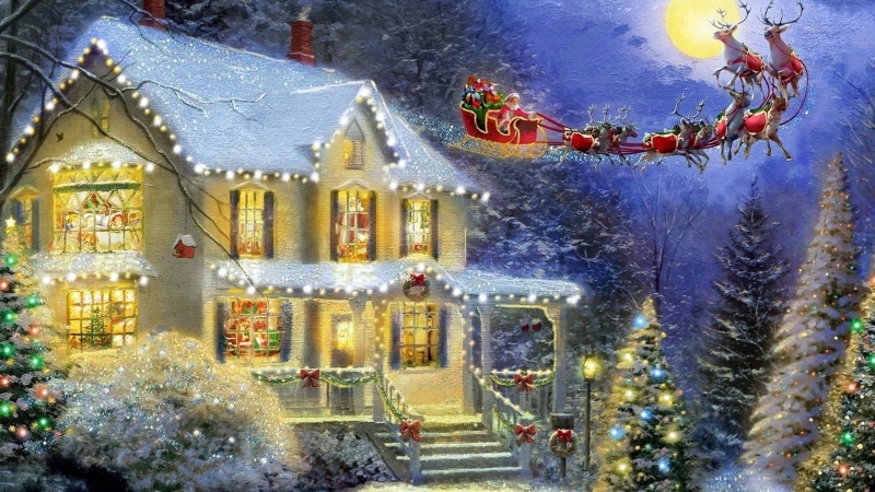 illuminated, celebration, building exterior, Artistic, architecture, plant, nature, Christmas, snowing, 1080P, decoration, Tree, outdoors, day, Santa