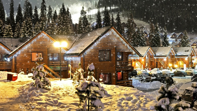frozen, snow, winter, built structure, holiday, nature, land, building, plant, house, architecture, light, lighting equipment, cottage, christmas lights