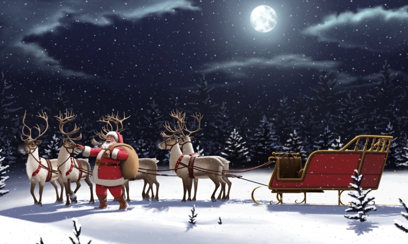 deer, snowing, animal, mammal, 1080P, group of animals, tree, cold temperature, winter, snow, Sleigh, Santa, Night, outdoors, Snowfall, snowcapped mountain