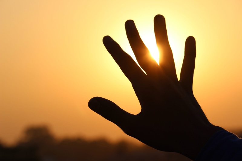 orange color, lifestyles, human Hand, arms Raised, hand, palm, 4K, vacation, human limb, summer, holidays, human Finger, human body part, finger, body part