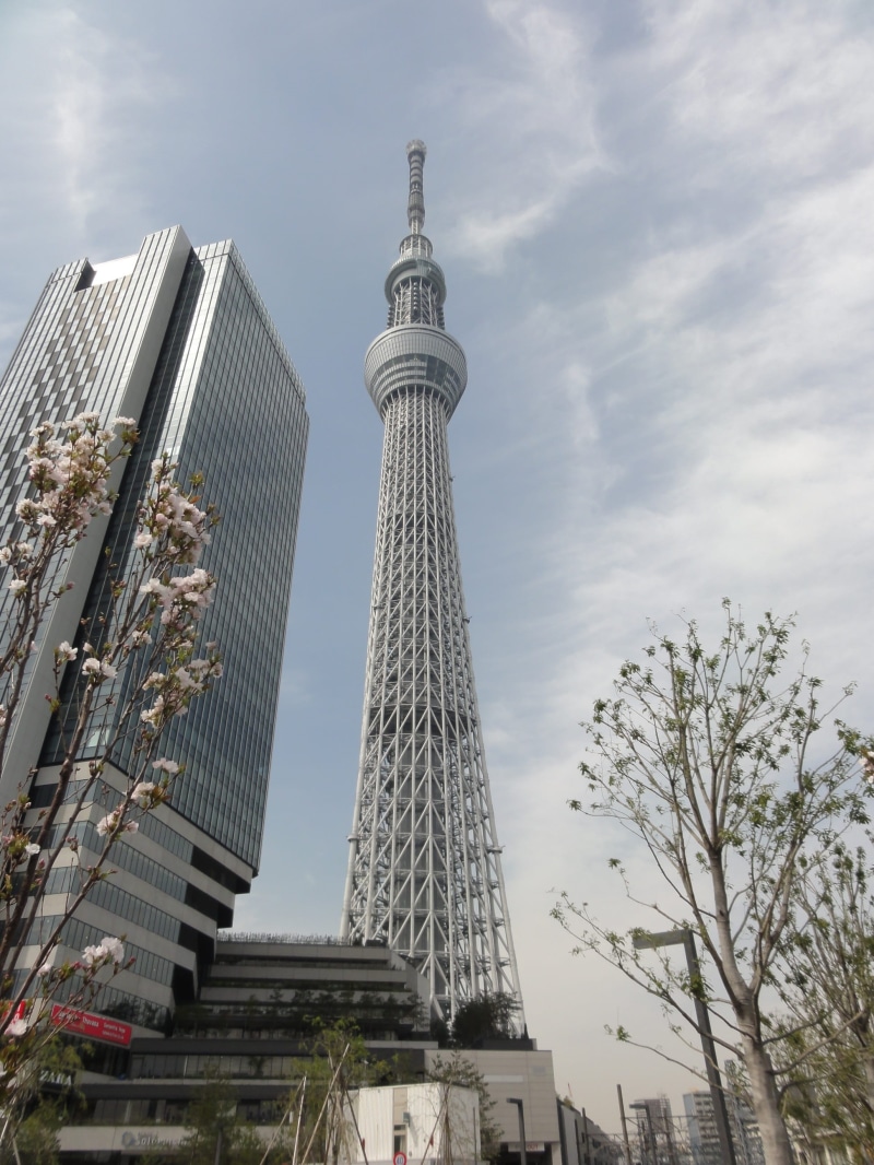 tokyo, japan, Tokyo, location, no people, tourism, building exterior, place, built structure, office building exterior, city, nature, Skytree, modern, sky
