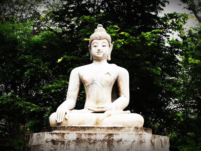 faith, serenity, thailand, no people, buddhist, india, male likeness, pray, craft, purity, zen, peaceful, art, prayer, sitting, tree, architecture, temple