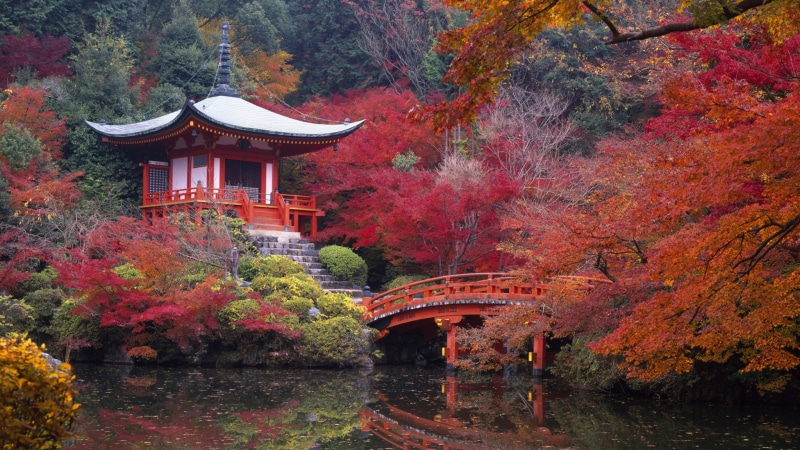 Bridge, Building, Tree, 1080P, Daigo-ji, Temple, Fall, Japan, Pagoda, Nature, Temples, Kyoto, Shrine, Water, Japanese Garden, Religion, Reflection