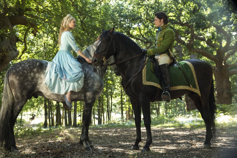 shirt, animal wildlife, Boy, and, riding, mammal, tree, Year, land, horseback riding, Beautiful, Clothes, In the Woods, CINDERELLA, Romance, domestic, 5K