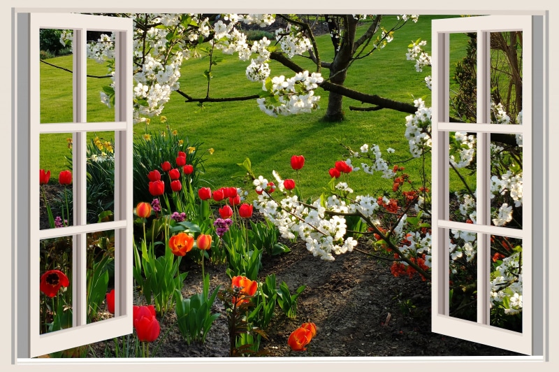 grass, image editing, spring flowers, mood, garden, tulips, joy, vulnerability, red flowers, flower head, a beautiful day, 4K, flower, colorful flowers