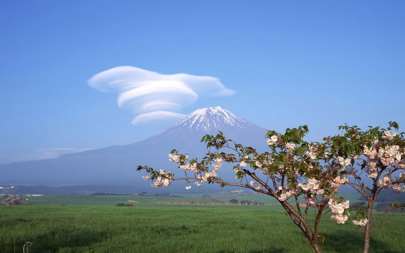 spring, landscapes, blossoms, 1080P, clouds, flowers, fuji, cherry, mount, trees, japan