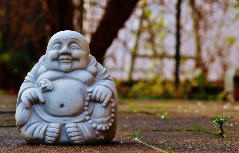 figurine, asia, sculpture, fernöstlich, laughing, art, male likeness, ceramic, representation, buddha, rest, plant, figure, stone figure, no people, statue