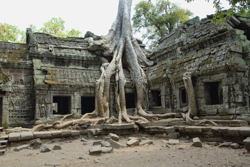 religion, 4K, ancient, ta prohm, history, day, no people, architectural column, temple - Building, old, the past, damaged, ruined, spirituality, cultures