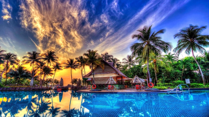 beach, 1080P, palm tree, palms, umbrellas, pool, holiday, swimming pool, summer
