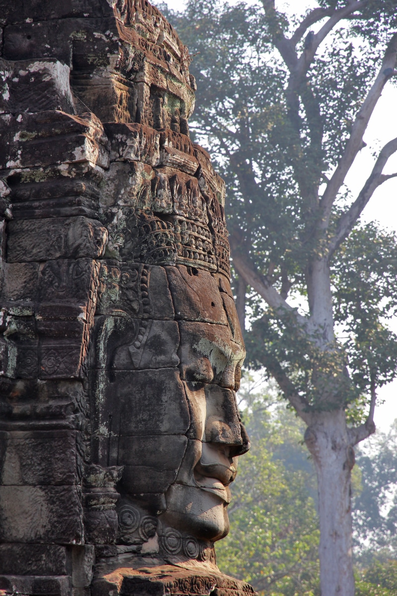 culture, cambodia, monument, built structure, khmer, stone, human representation, ancient, belief, asia, architecture, craft, ancient civilization, tree