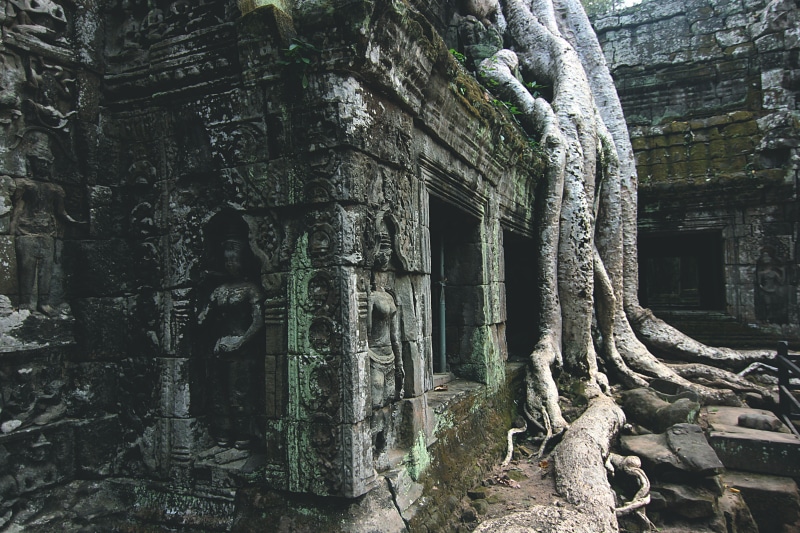 outdoors, Temple, carving - Craft Product, architecture, Asia, siem Reap, buddha, temple - Building, Root, belief, bayon Temple, angkor Thom, Tree, stone Material