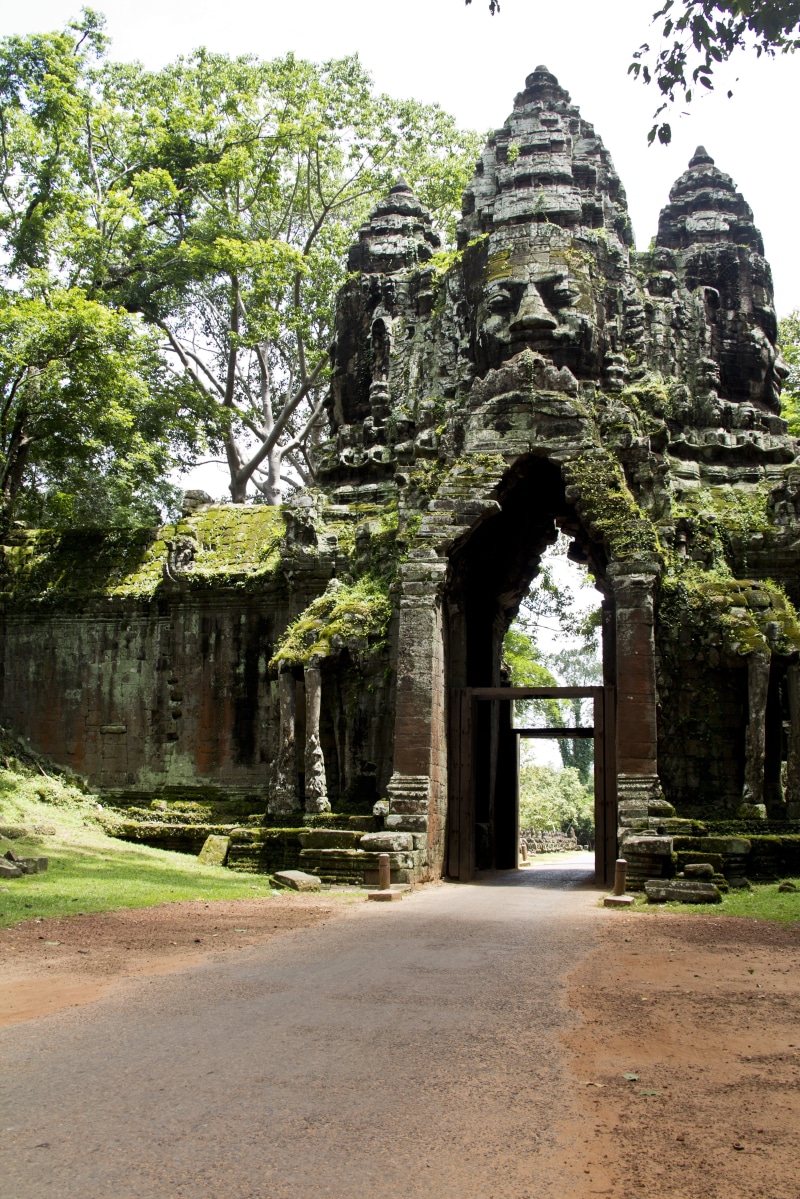 sculpture, spirituality, nature, trees, no people, the past, daytime, outdoors, archeology, travel, brown, 4K, history, day, building, tree, cambodia