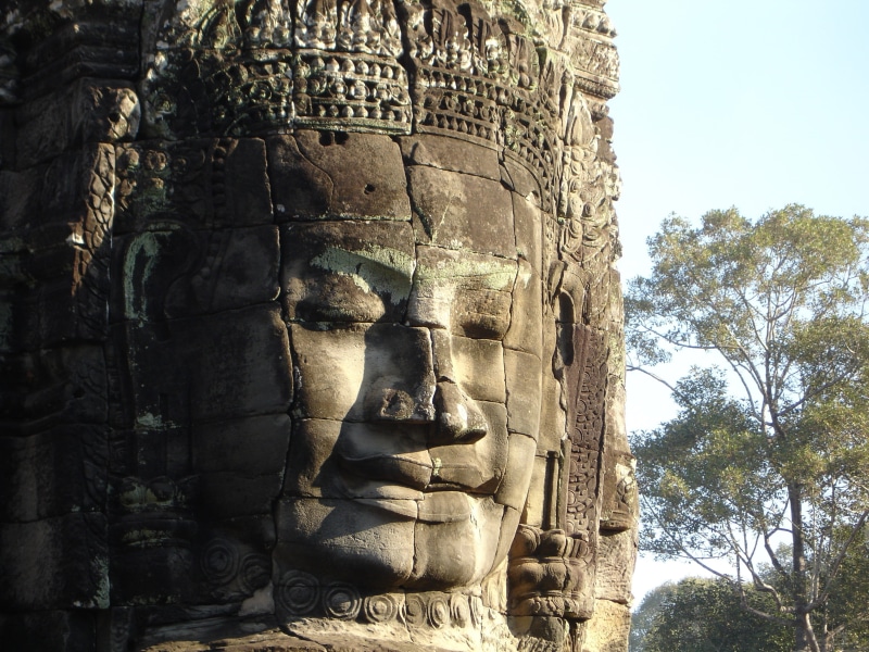 tree, Angkor Wat, architecture, creativity, peaceful, 2K, bayon Temple, place of worship, buddhism, carving - Craft Product, asia, representation, Cambodia
