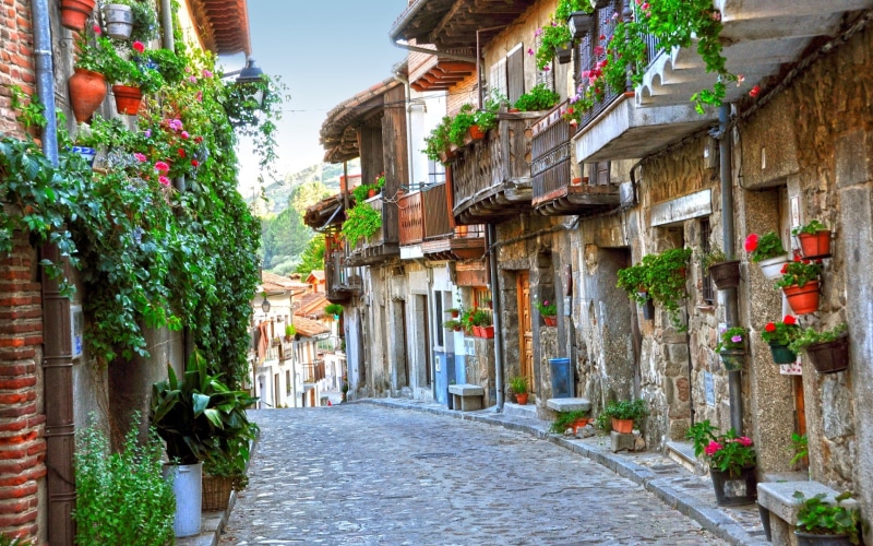 plants, building, street, old building, house, 1080P, flowers, old