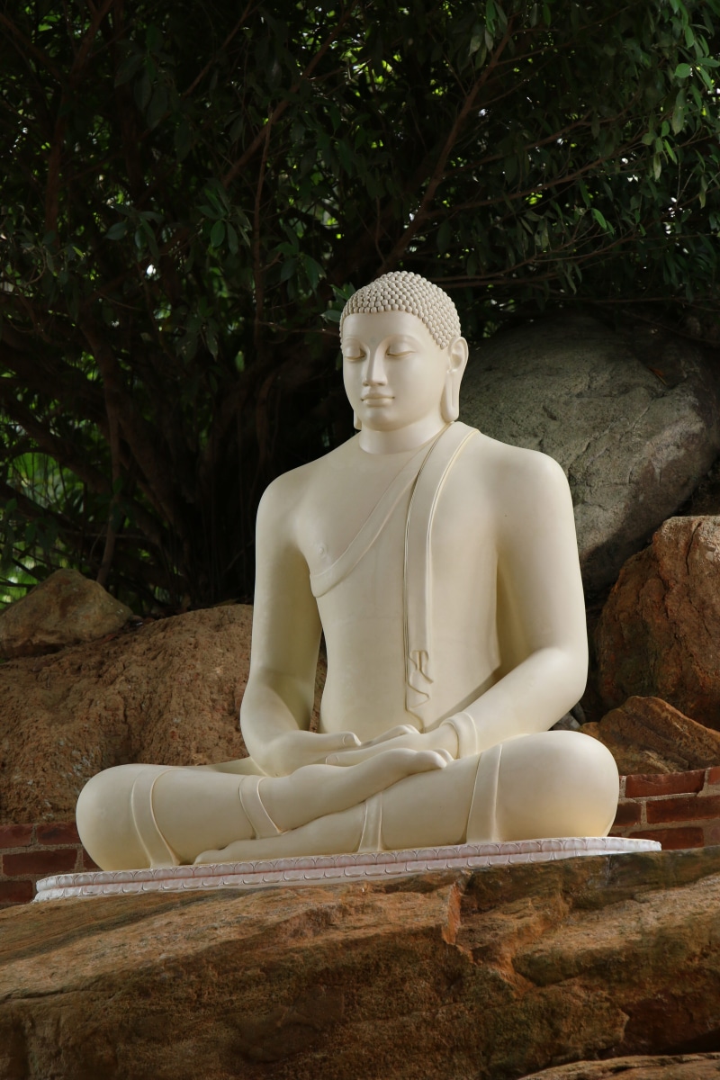 nature, meditation, temple, belief, day, representation, history, religion, spirituality, tree, art and craft, heritage, thai, plant, buddhism, culture