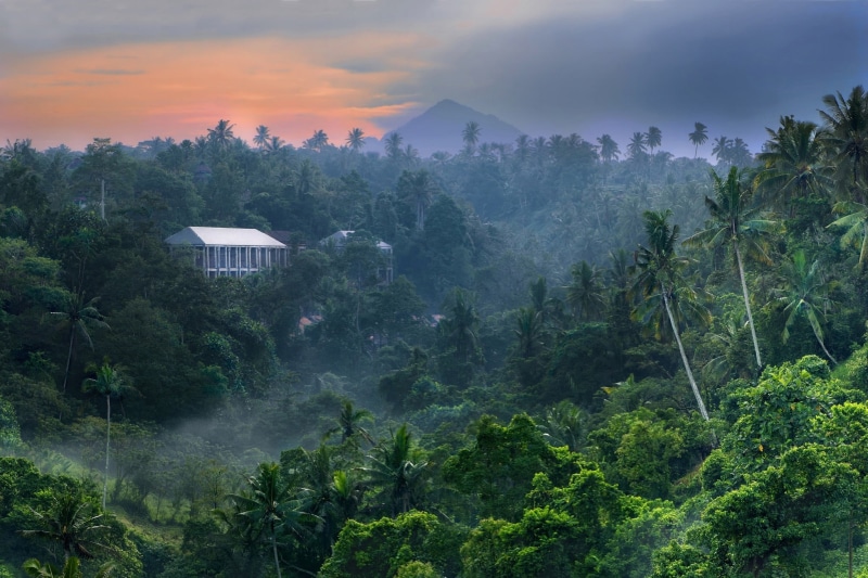 mountains, jungle, mountain peak, mountain, built structure, 1080P, digital, sky, tranquil scene, architecture, tree, landscape, growth, Indonesia, forest