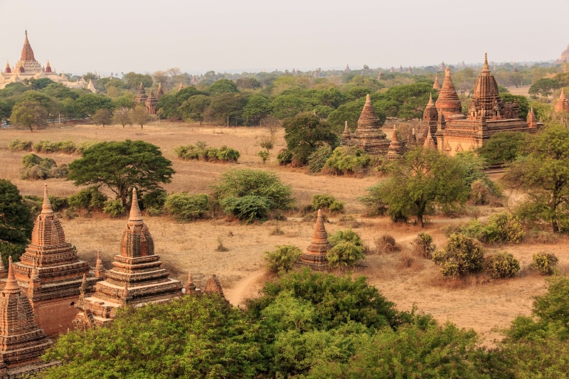 attraction, the past, travel destinations, stupa, 4K, plant, no people, old, traditional, heritage, built structure, shrine, history, landscape, outdoors