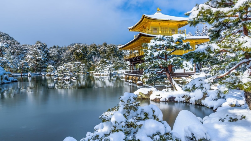 winter, japan, 1080P, belief, temple, water, plant, freezing, zen temple, religion, outdoors, kyoto, beauty in nature, built structure, travel destinations