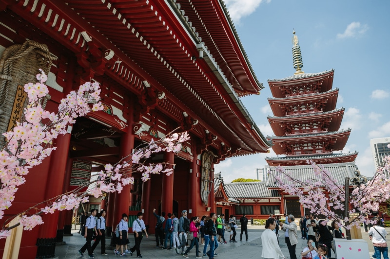 visit, asakusa, taitō-ku, sakura, group of people, urban, temple, men, adult, sensō-ji, women, large group of people, religion, building, asian, sky, place of worship