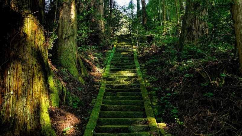 tree, 1080P, woodland, vegetation, green, forest, nature, shrine, path, buddhist temple, japan, buddhist, stairs, buddhism
