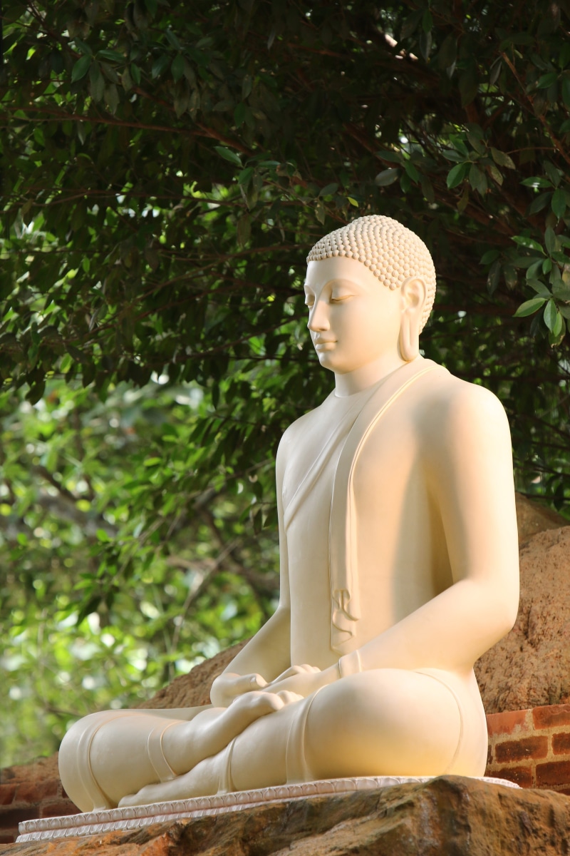 nature, history, statue, heritage, buddhist, worship, tree, religious, male likeness, plant, sculpture, buddhism, sri lanka, mahamevnawa, belief, religion