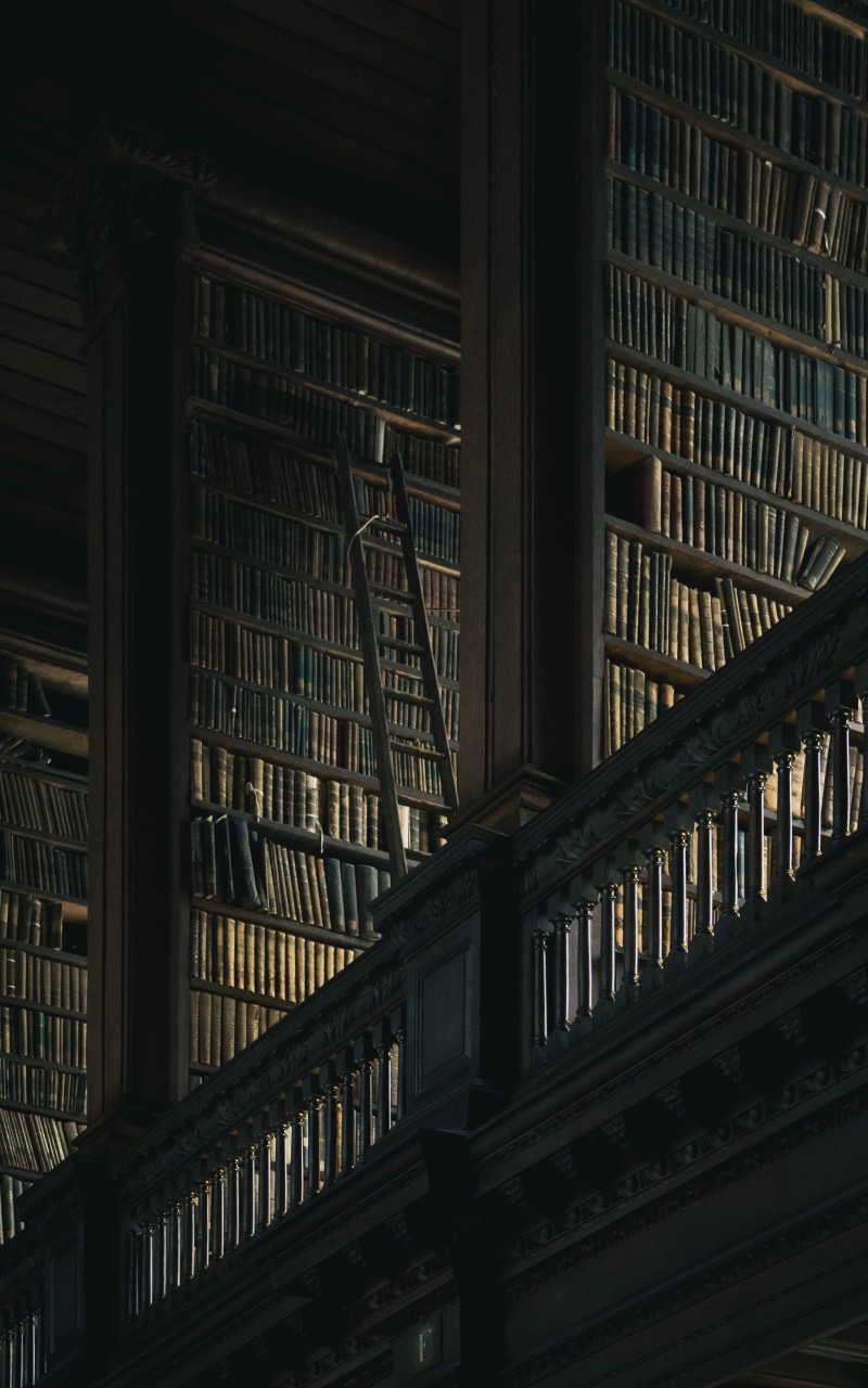 day, university, metal, bookshelf, dublin, dark, 4K, book, school, architecture, wood - material, trinity college, built structure, indoors, abundance