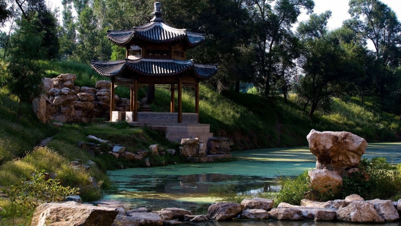 landscape, day, garden, growth, Asian architecture, formal garden, rock, architecture, building exterior, no people, 1080P, trees, rock - object, building
