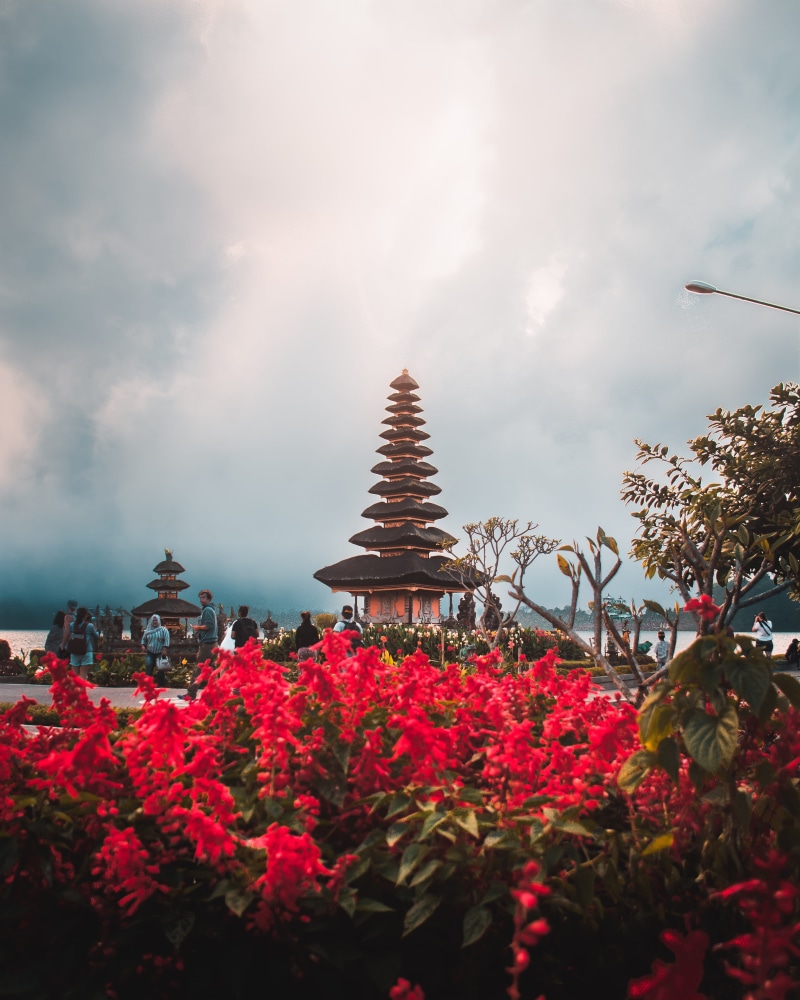 lake, water, building, tourism, landmark, day, vulnerability, flower, growth, tropical, sky, temple, plant, red, outdoors, no people, beratan, culture