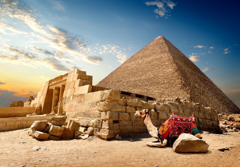 nature, building exterior, Cairo, animal, desert, one animal, sky, the past, pyramid, 4K, domestic, built structure, pets, architecture, stones, sand