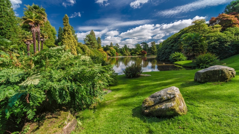 growth, trees, two, plants, 1080P, clouds, park, day, flowing water, solid, tree, land, water, scenics - nature, palm trees, beauty in nature, green color